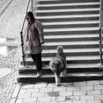 Lady with Dog